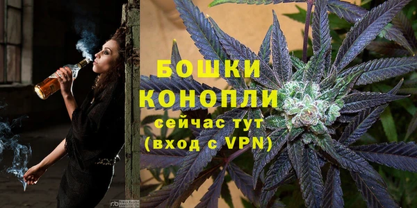 крисы Инта