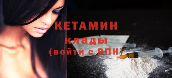 крисы Инта