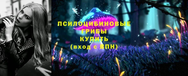 мяу мяу мука Зерноград